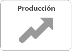 Producción