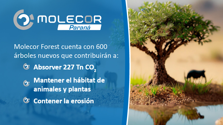 Día Mundial del Árbol, compromiso de Molecor Paraná con un futuro verde