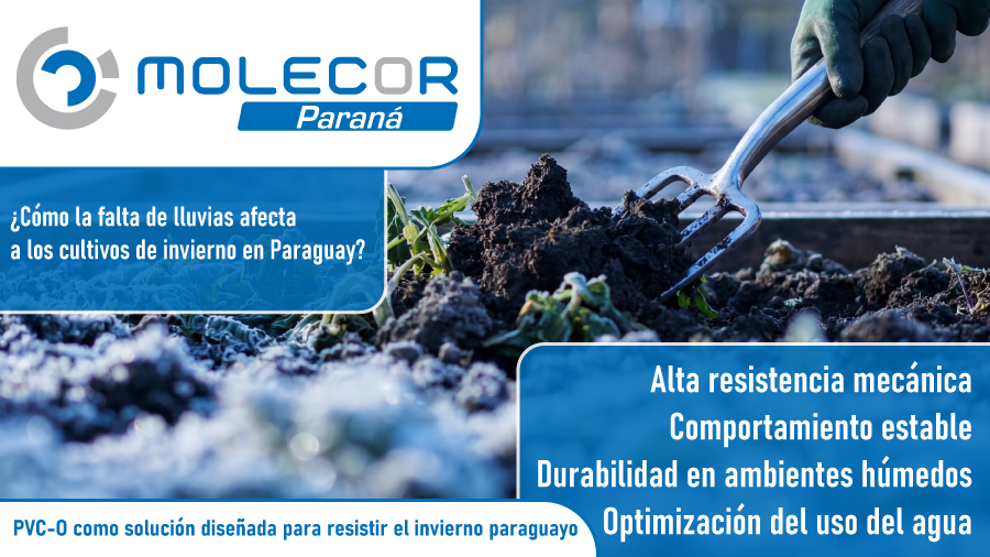¿Cómo la falta de lluvias afecta a los cultivos de invierno en Paraguay?