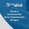 Causas y consecuencias de la contaminación del agua