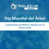 Día Mundial del Árbol, compromiso de Molecor Paraná con un futuro verde
