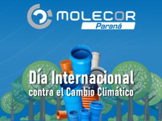 Día Internacional contra el Cambio Climático caminando hacia un futuro sin emisiones