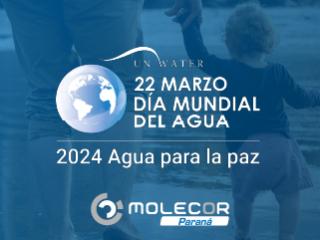 22 de marzo, Día Mundial del Agua. Agua para la paz, lema de la ONU