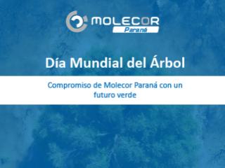 Día Mundial del Árbol, compromiso de Molecor Paraná con un futuro verde