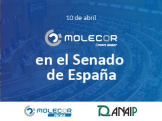 Molecor da voz en el Senado de España a la industria de la transformación de plásticos en el debate sobre su regulación y competitividad