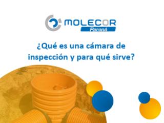 ¿Qué es una cámara de inspección cloacal y para qué sirve?